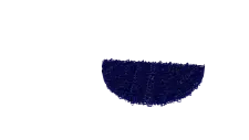 3B0C2A38-645F-43D7-8945-F4817AAF45C2.jpg
