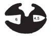 0264/PVC65- clamping-24x17mm